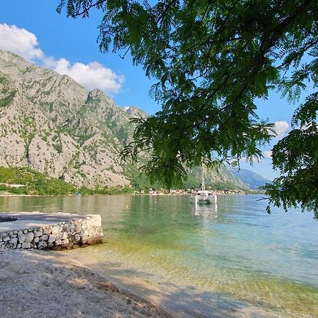 Sea Side Apartment Kotor Eksteriør bilde
