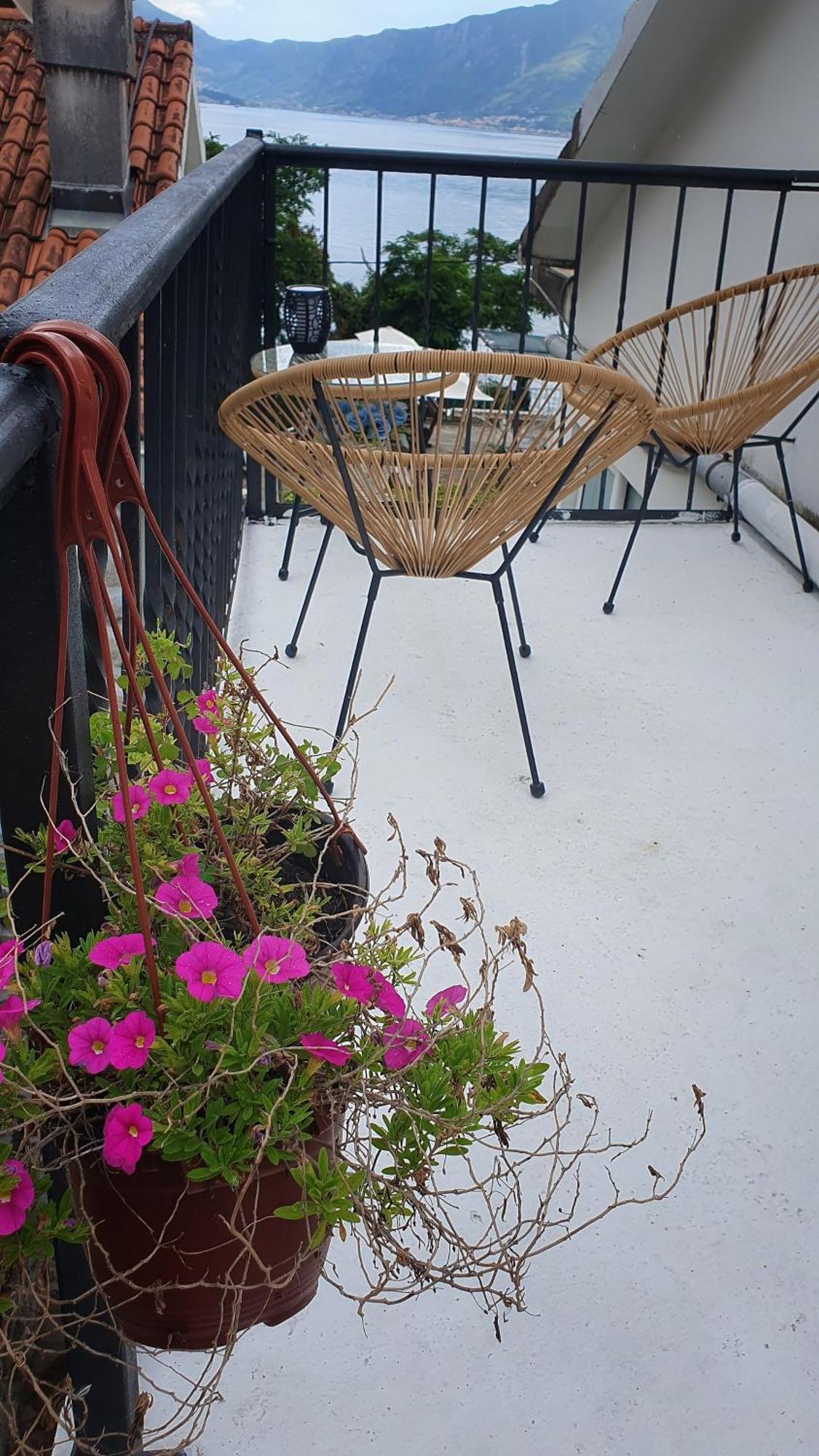 Sea Side Apartment Kotor Rom bilde